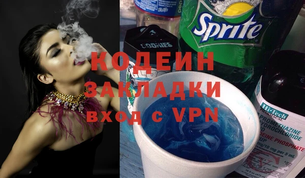 ГАЛЛЮЦИНОГЕННЫЕ ГРИБЫ Верея