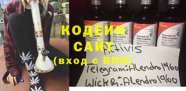 ГАЛЛЮЦИНОГЕННЫЕ ГРИБЫ Верея