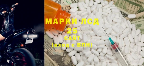 ГАЛЛЮЦИНОГЕННЫЕ ГРИБЫ Верея
