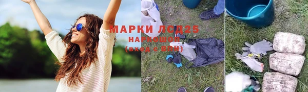ГАЛЛЮЦИНОГЕННЫЕ ГРИБЫ Верея